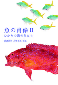 【魚の肖像II 太陽の海の魚たち】魚譜画家 長嶋祐成 個展